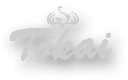 Tokai Guitars